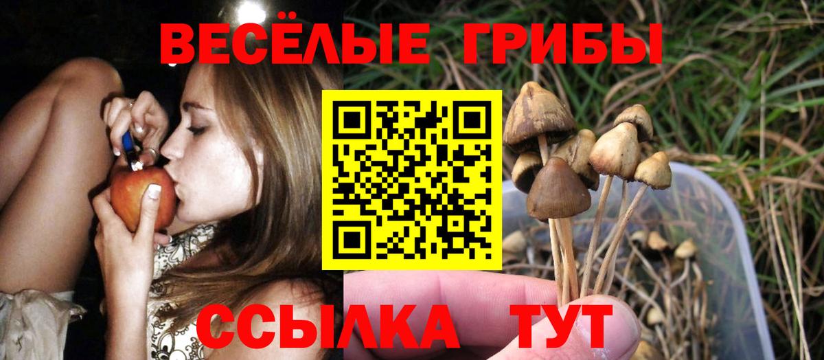 Галлюциногенные грибы мухоморы Новороссийск