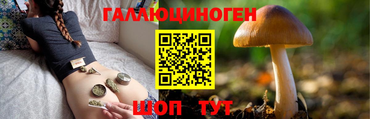 Новороссийск  Псилоцибиновые грибы ЛСД  Вход с VPN 